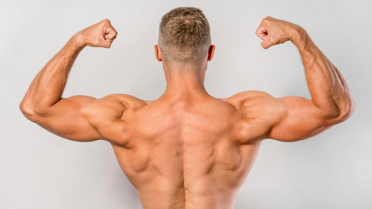“Recover Faster with Whey Protein: Science Says So”